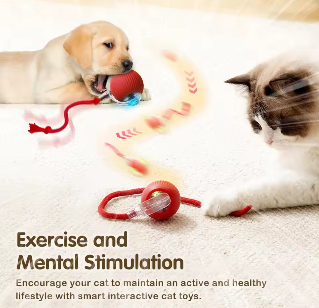 Pet Electronic Ball
