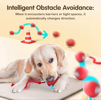 Pet Electronic Ball